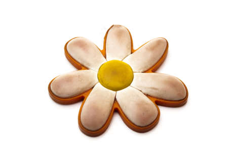 big daisy on a white backgroundの写真素材