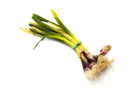 tender garlic on a white backgroundの写真素材