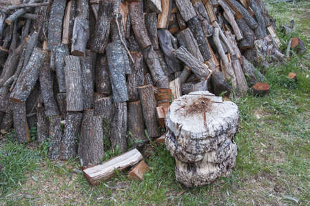 pile of logs ready to cut into small piecesの写真素材
