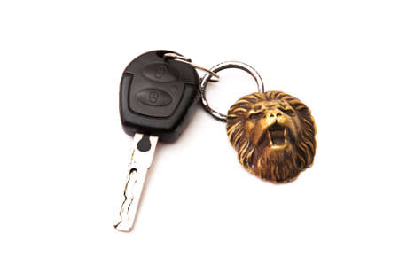 car key keychain lion on a white background