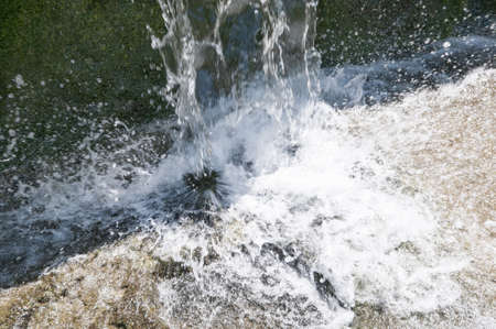 jump from water with splashes