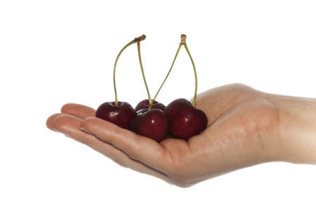 red cherries on a white backgroundの写真素材