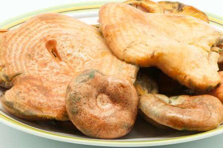 plate of mushrooms on a white backgroundの写真素材