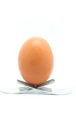 egg with forks on a white backgroundの写真素材