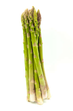 green asparagus on a white の写真素材