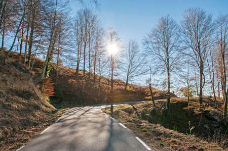 Mountain road in the autumn seasonの写真素材