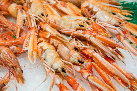 scampi sea of yellow coloredの写真素材