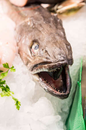 fresh fish prepared for cookingの写真素材