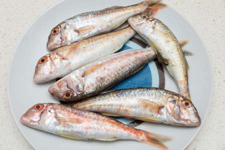 mullet small stalls on a plate