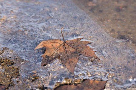 frozen lake with a dry ice sheetの写真素材