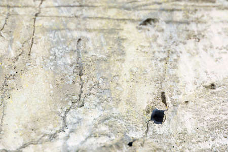 wooden background with holes and stripesの写真素材