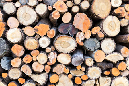 log pile for use in winter