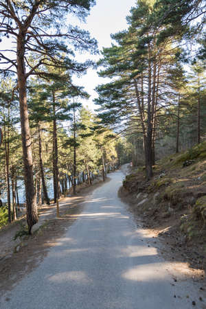 mountains in autumn in Andorra La Vellaの写真素材