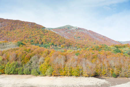 Montseny natural forest where nature is observedの写真素材
