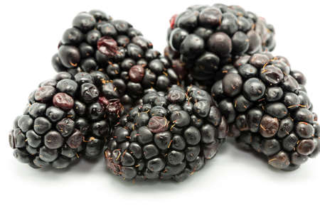 ripe blackberries on a white backgroundの写真素材