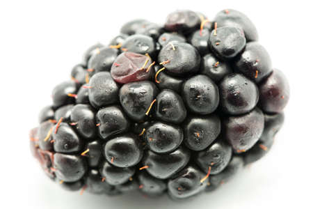 ripe blackberries on a white backgroundの写真素材