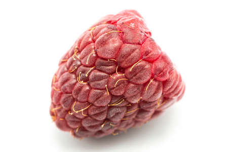 red raspberries on a white backgroundの写真素材