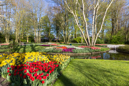Park with multi-colored spring flowers with water poundの写真素材
