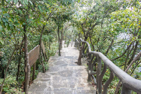 Mountain landscape of zhangjiajie national park, china a Beautiful landscape of zhangjiajie national...