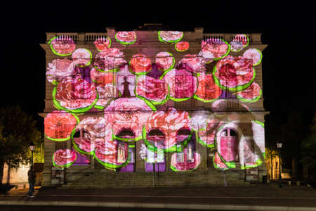 Building facade light festival Chartres in Franceのeditorial素材