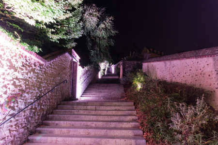 Building facade light festival Chartres in Franceのeditorial素材