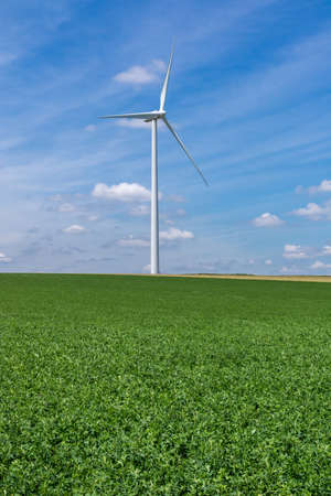 Wind turbines on a green wheat field producing power from renewable energyの写真素材
