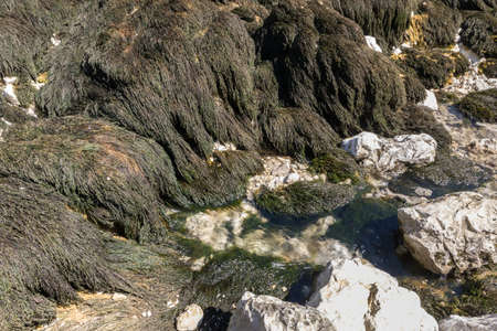 The sources of the Saine from Jura in France
