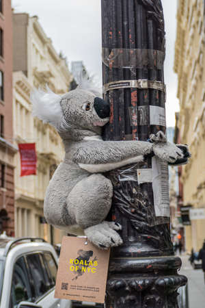 New York, United States, January 28, 2020: Koalas of NYC is an initiative with a simple purpose: Raise awareness around the devastating bushfires in Australia, and unite the global community to help save the land, wildlife, and people affected.のeditorial素材