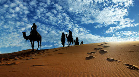 Caravan in desert