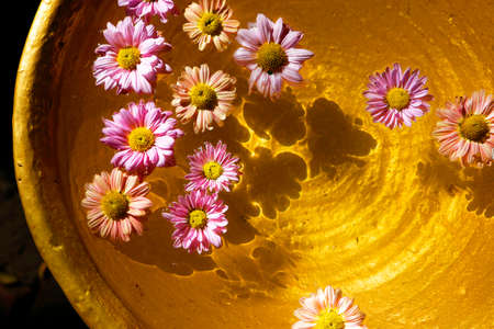 Flower decorativeの写真素材