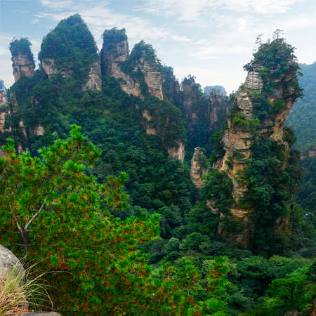 view of limestone cliff in Zhangjiajie National Park, Hunan, Chinaの写真素材