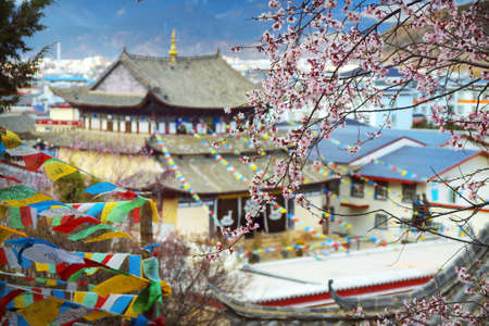 Detail of architecture, Tibetan monastery in Shangri-la during tree blossom, Yunnan, China
