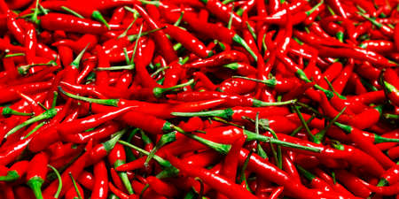 red chilli pepper