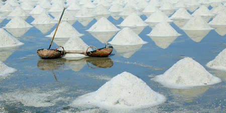 Basketball for harvesting salt in salt farmの写真素材