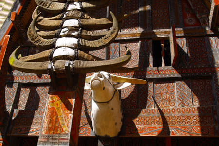 Detail of traditional Tongkonan houses, Toraja house in the south Sulawesi -Indonesia