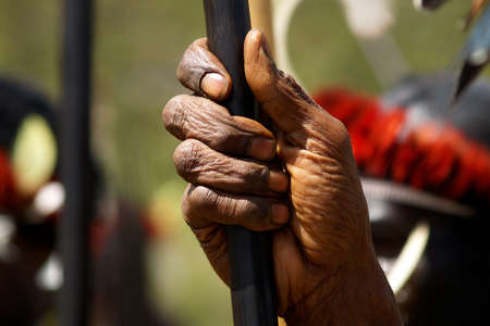 dani people during tribe festival in wamena-baliem valley-papuasia-indonesiaの写真素材