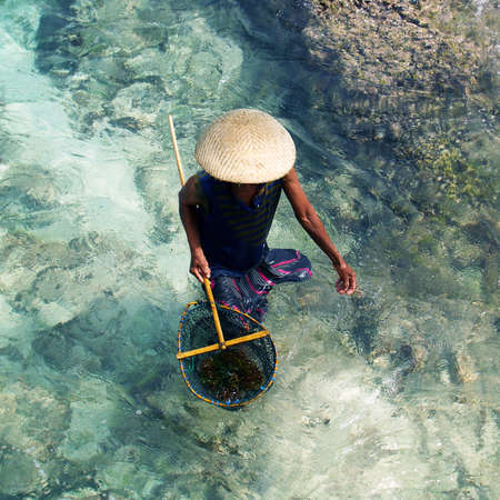 farmer harvesting sea in the sea with landing netの写真素材
