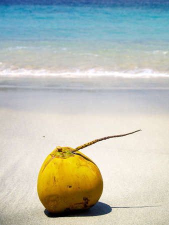fresh coconut on white sand beachの写真素材