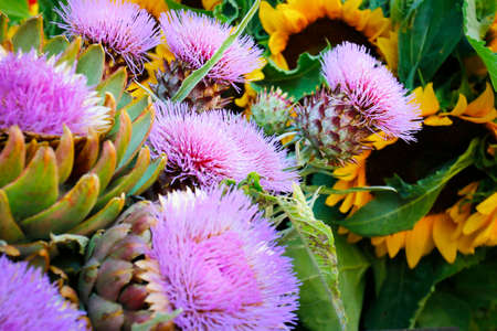 artichoke sold in market in provence-franceの写真素材