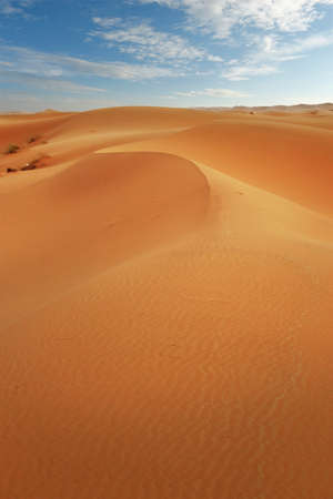 sand dune in the sahara desertの写真素材