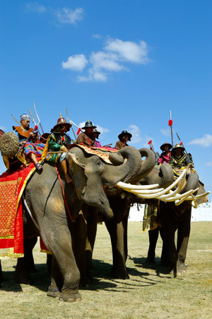Surin -Thailand - November-20-22 -2020 - elephant round up festival 2020