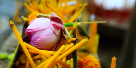 close up of lotus flower and holly candle in buddhist templeの写真素材