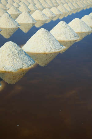 Salt field ready to be harvest in salt farm at Ban Laem-Thailandの写真素材