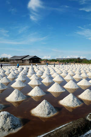 Worker Harvesting salt in salt field at Ban Laem-Thailandの写真素材