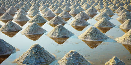 Salt field ready to be harvest in salt farm at Ban Laem-Thailand