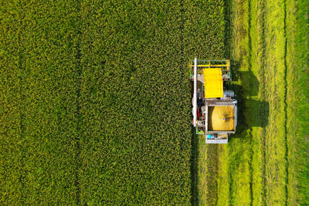 aerial view of a combine harvester ,during harvesting, on asian rice fieldの写真素材