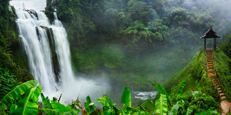 View of a natural misty waterfall in the rainforestの写真素材