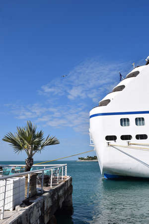 White shipの写真素材