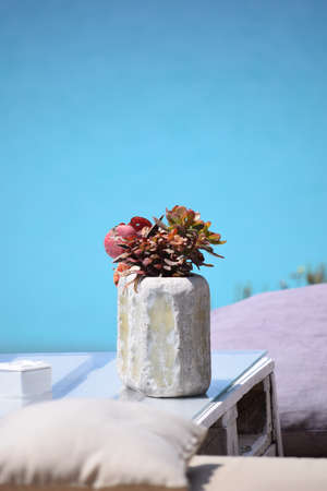 Flowers in a vase on a pale blue background. Stock photography Flowers in a vase on a blue backgroundの写真素材