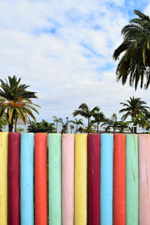 View into the paradise behind a wooden fenceの写真素材